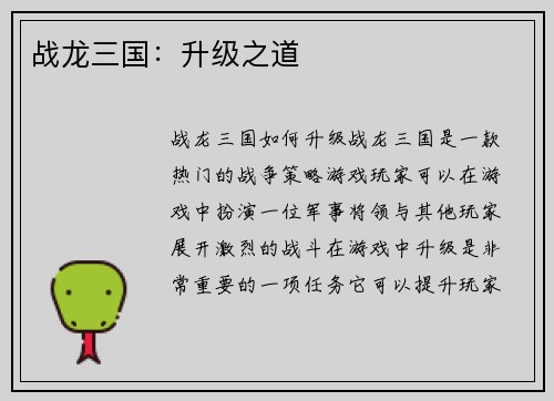 战龙三国：升级之道
